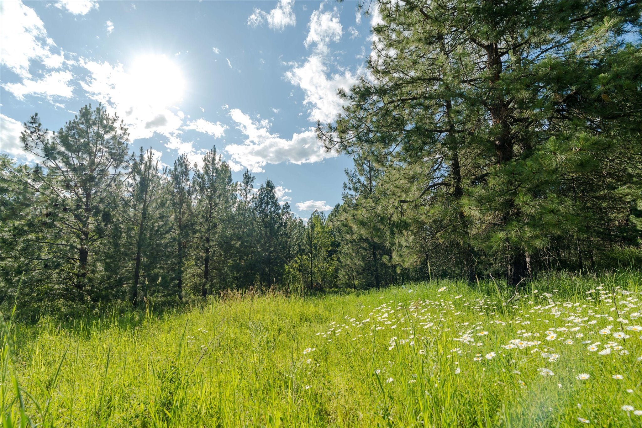 42439 Canal Road Ronan, MT 59864 - Photo 52 of 81 Gallery Image 52