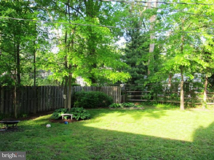 305 Radcliffe Drive Newark, DE 19711 - Photo 18 of 18 Back Yard