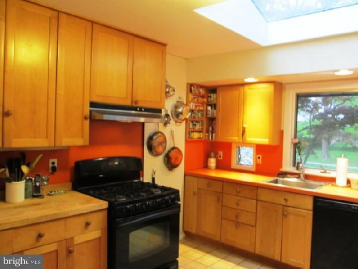 305 Radcliffe Drive Newark, DE 19711 - Photo 7 of 18 Kitchen