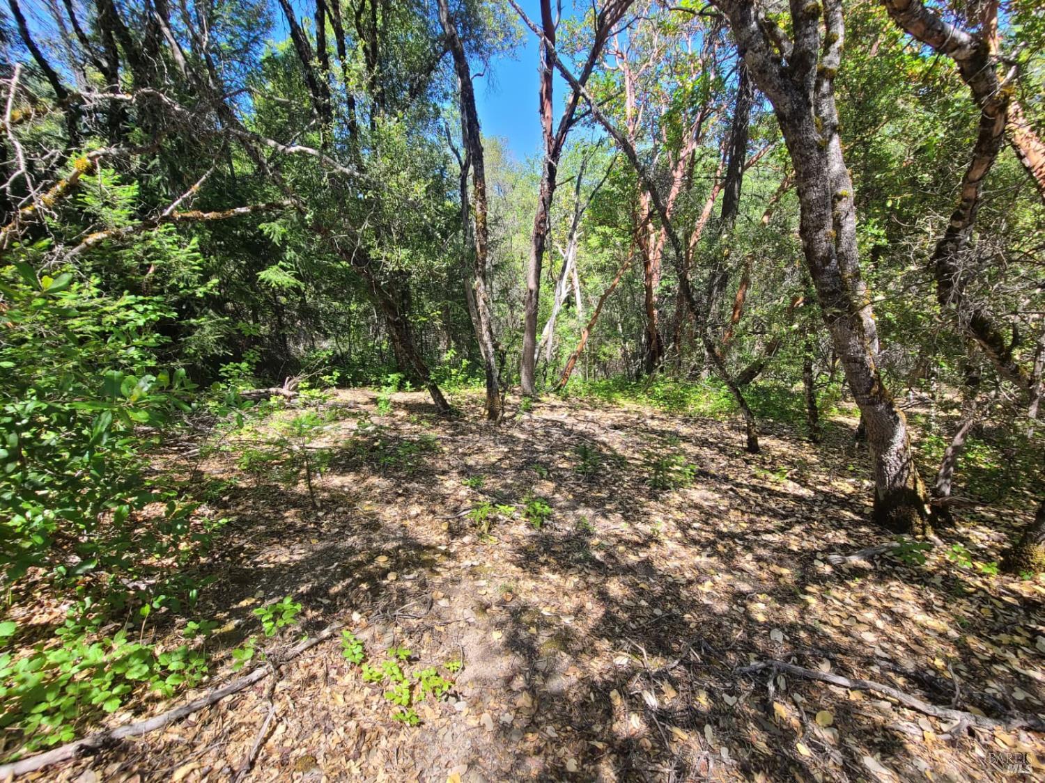 0 Etsel Ridge Road Covelo, CA 95428 - Photo 11 of 18