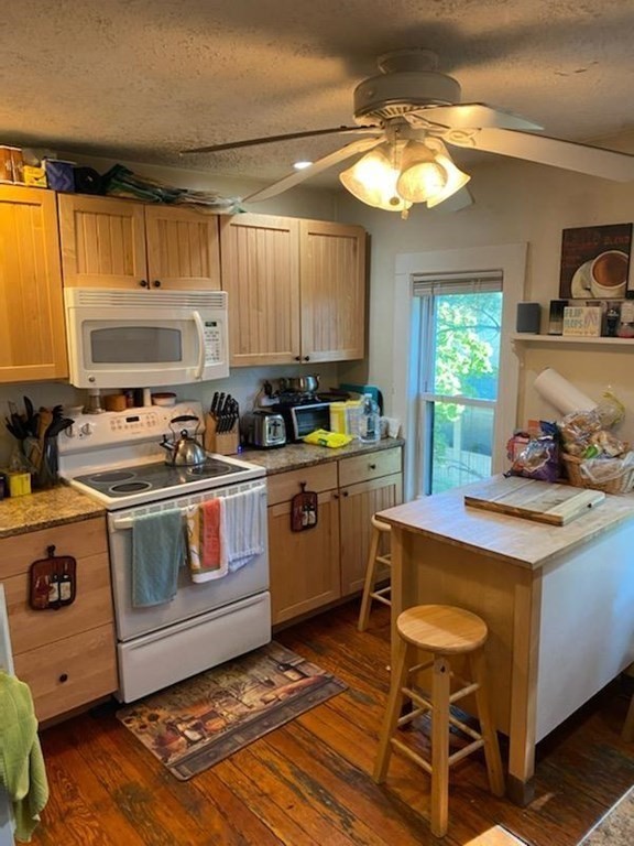 27 Holyoke Road Somerville, MA 02144 - Photo 12 of 14 Gallery Image 12