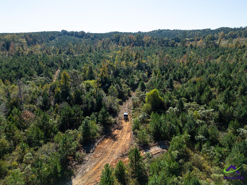1190 Wriley Road McIntyre, GA 31054 - Photo 11 of 25