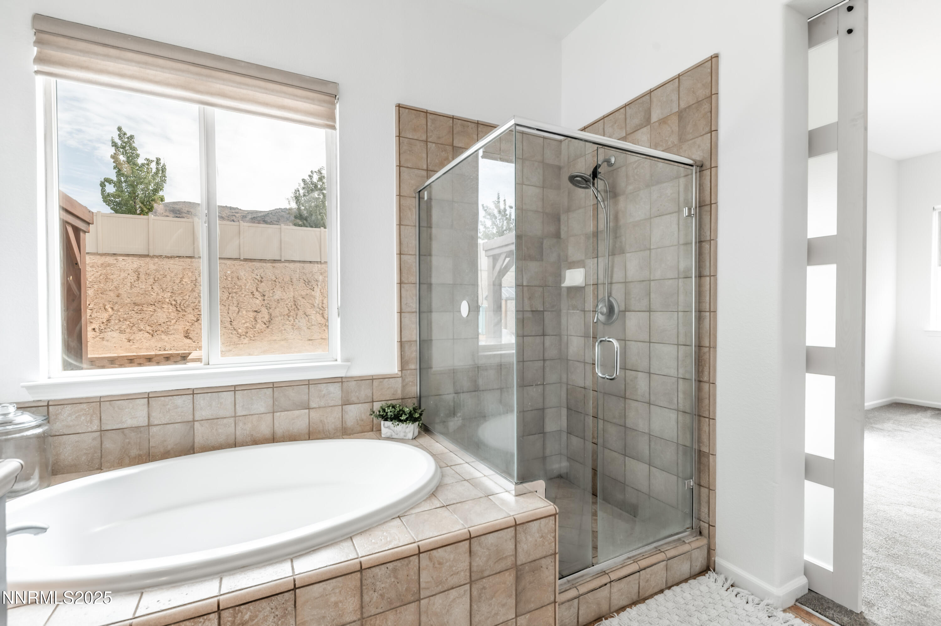 10700 Summer Glen Drive Reno, NV 89521 - Photo 31 of 56 s-1044