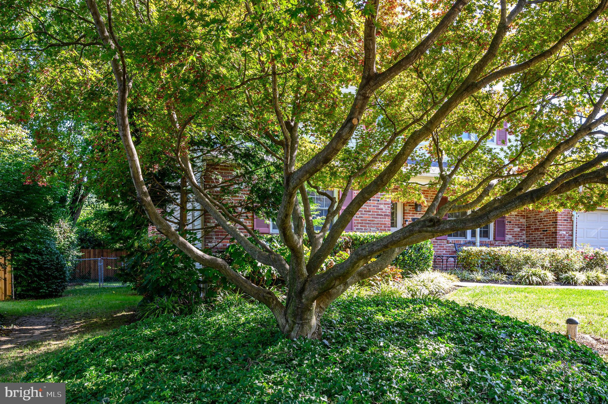 461 Brookfield Road Drexel Hill, PA 19026 - Photo 23 of 23 Check it out!