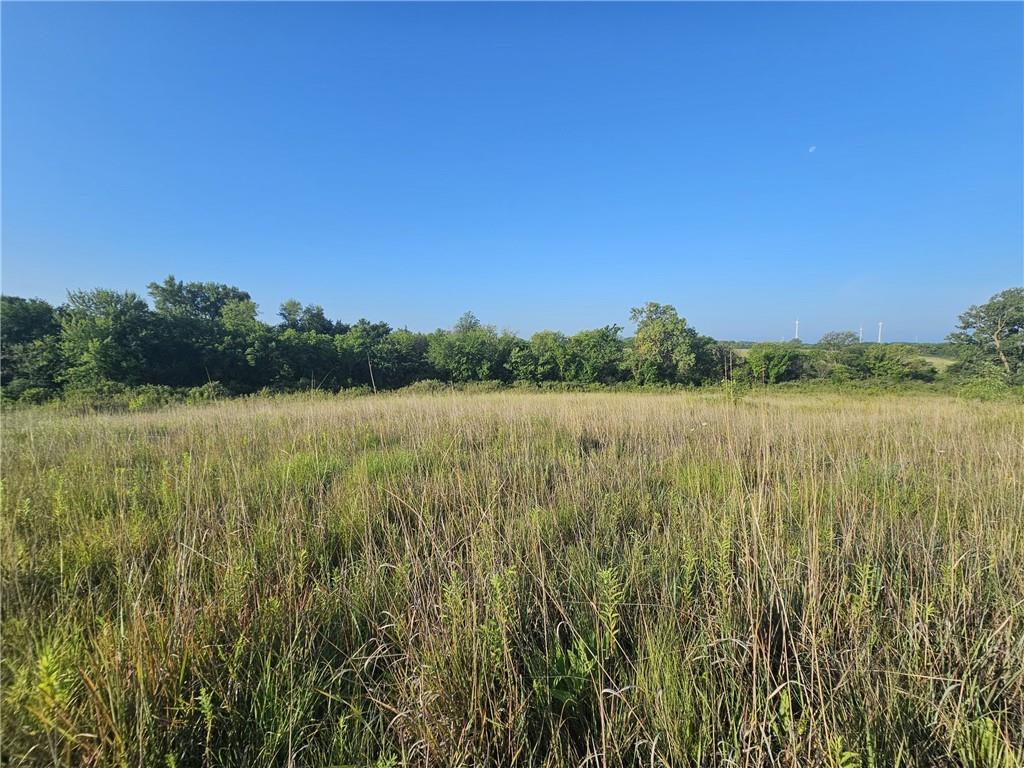 160th Street Elmo, MO 64445 - Photo 11 of 16