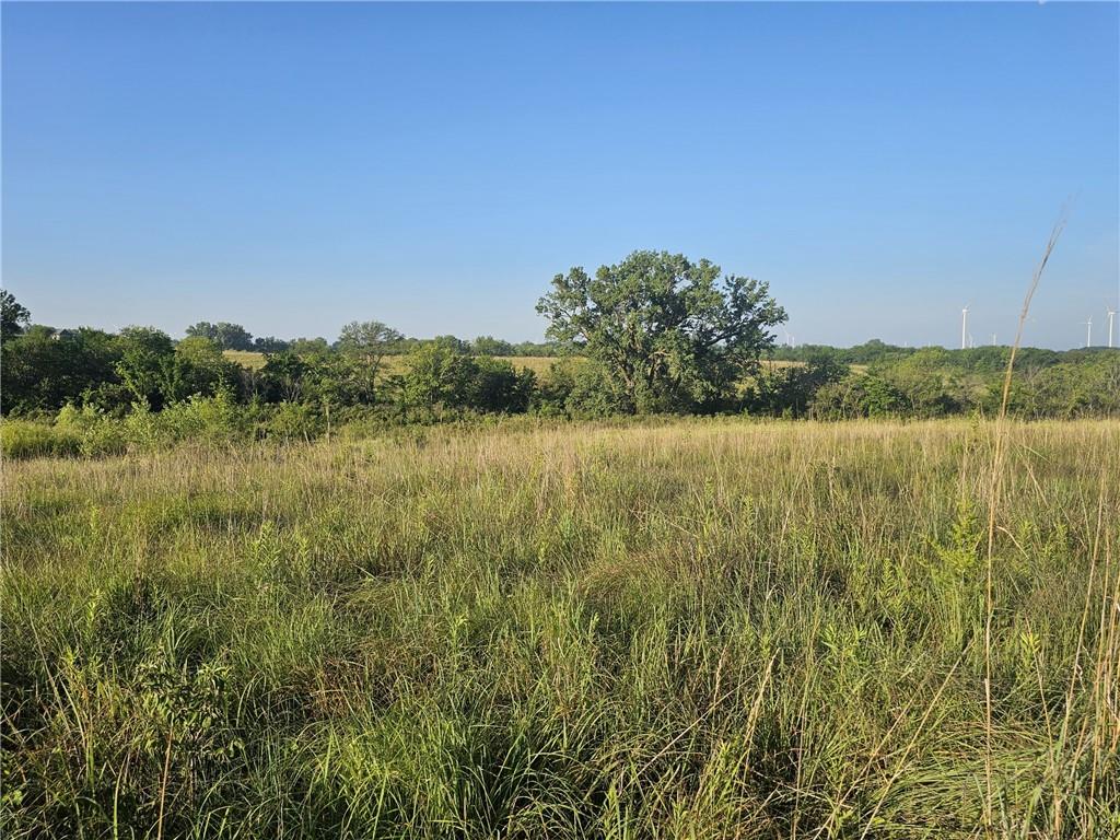 160th Street Elmo, MO 64445 - Photo 12 of 16