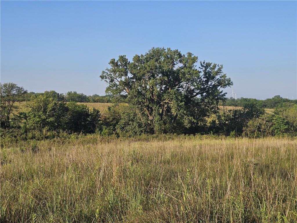 160th Street Elmo, MO 64445 - Photo 13 of 16
