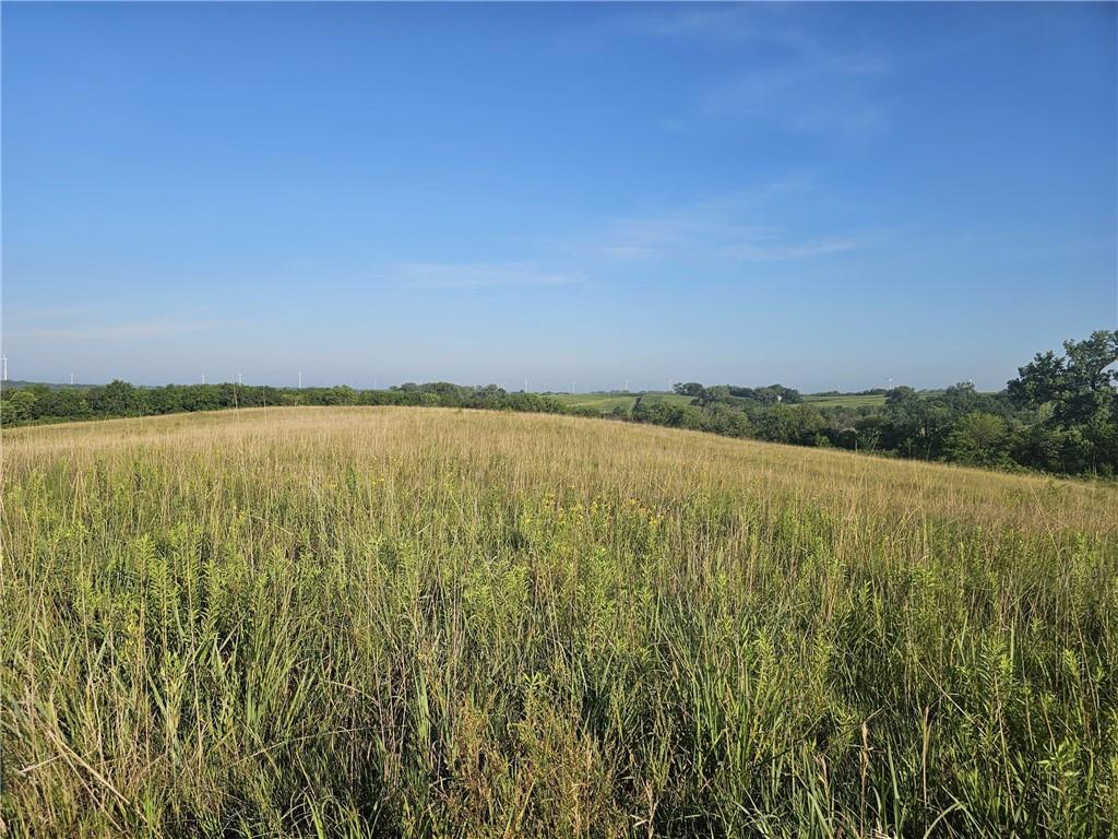 160th Street Elmo, MO 64445 - Photo 15 of 16