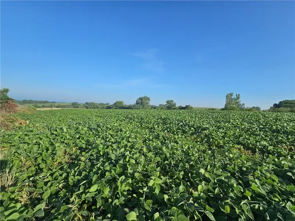 $392,000 | 160th Street, Elmo, MO 64445