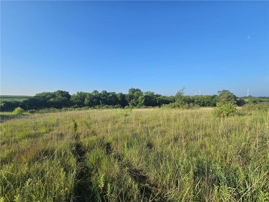 160th Street Elmo, MO 64445 - Photo 10 of 16