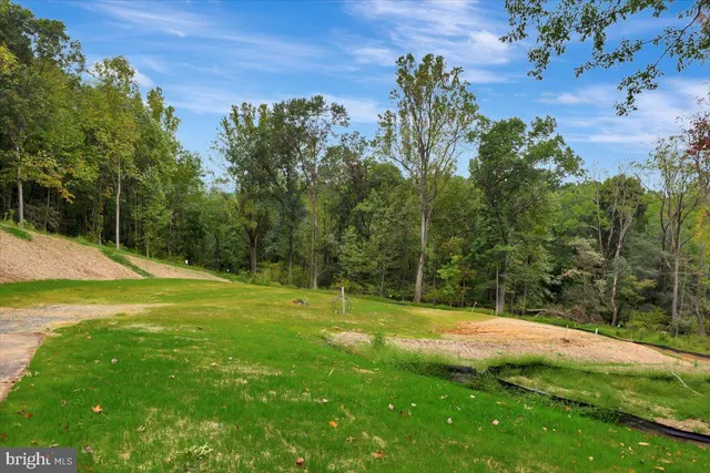 a view of swimming pool with a yard