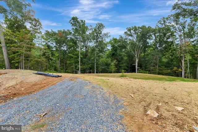 a view of a backyard space