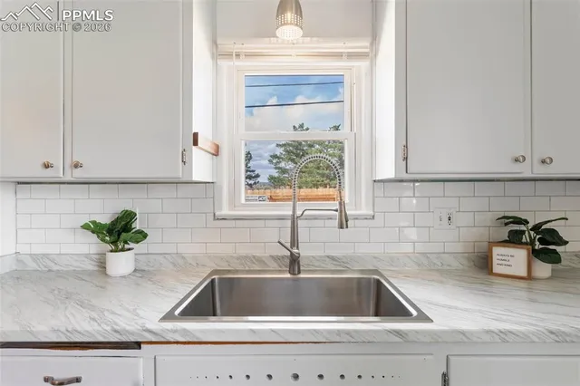 a kitchen with a sink a potted plant and cabinets
