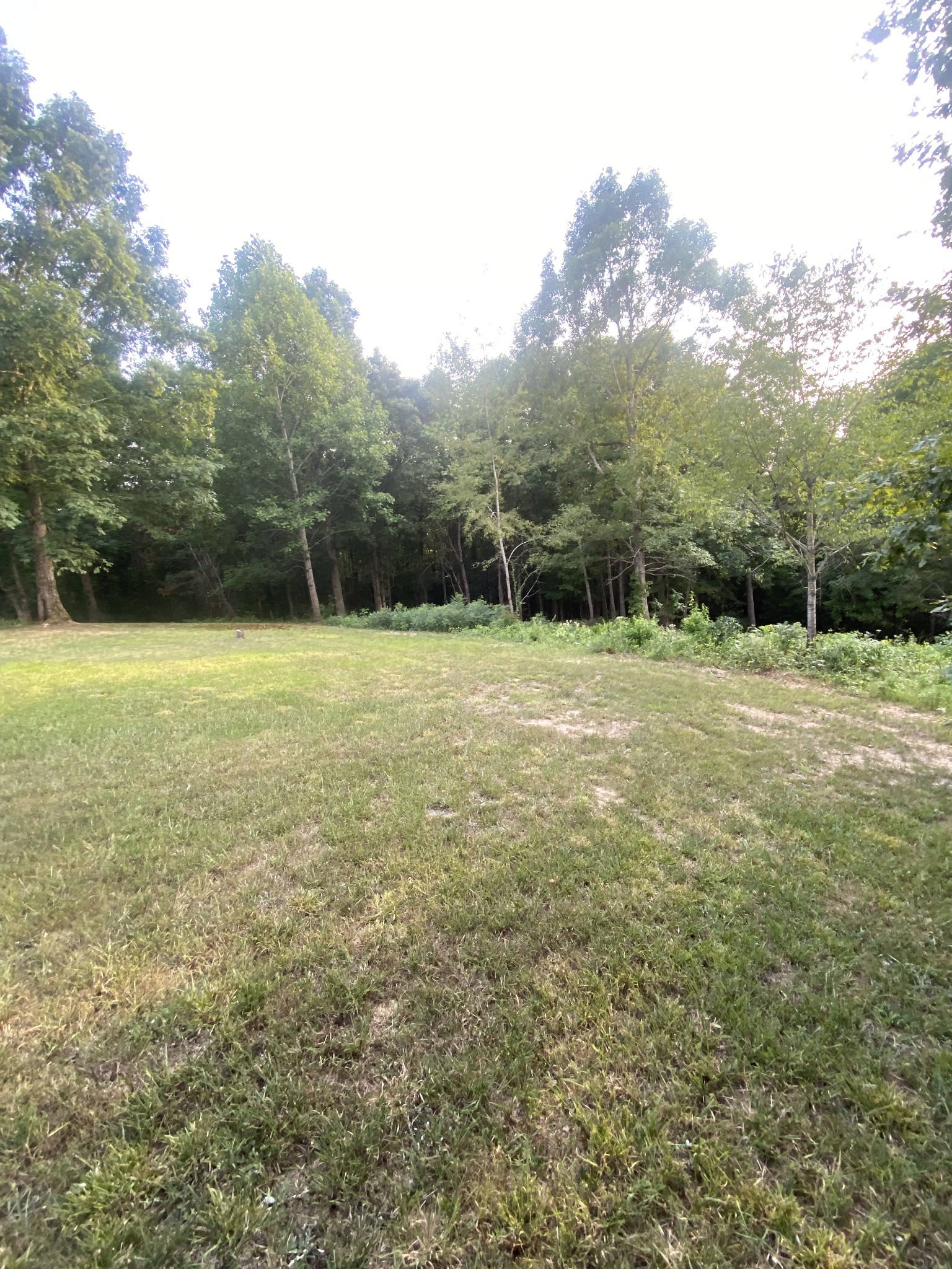 134 Baker Ridge Road Waverly, TN 37185 - Photo 40 of 44 Gallery Image 40