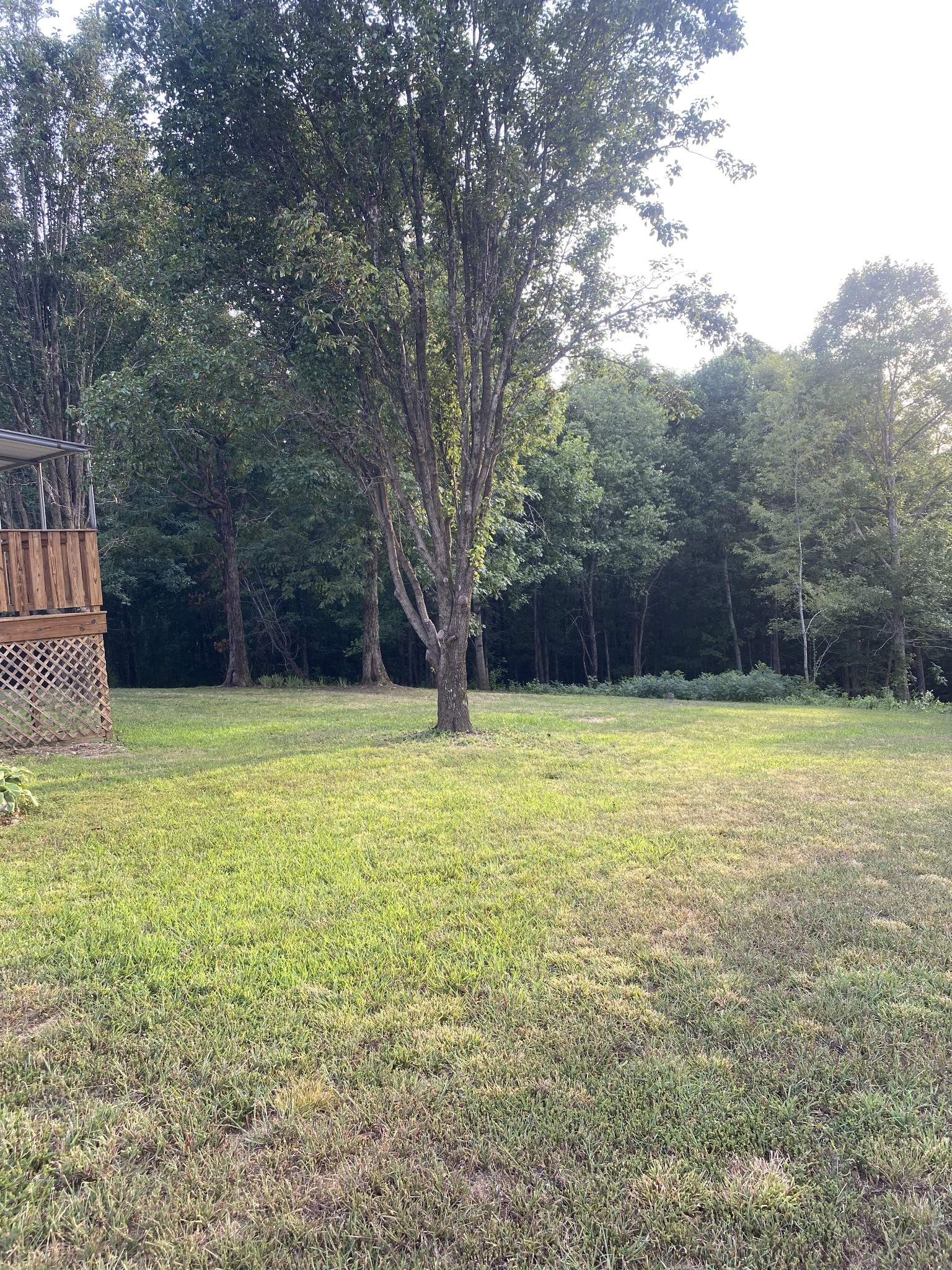 134 Baker Ridge Road Waverly, TN 37185 - Photo 42 of 44 Gallery Image 42