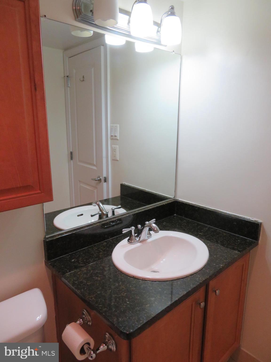 1220 Blair Mill Road, Unit 809 Silver Spring, MD 20910 - Photo 26 of 66 a bathroom with a sink and a mirror