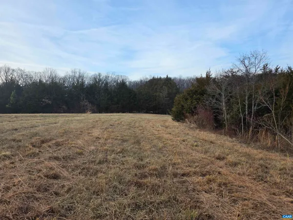 a view of backyard with green space