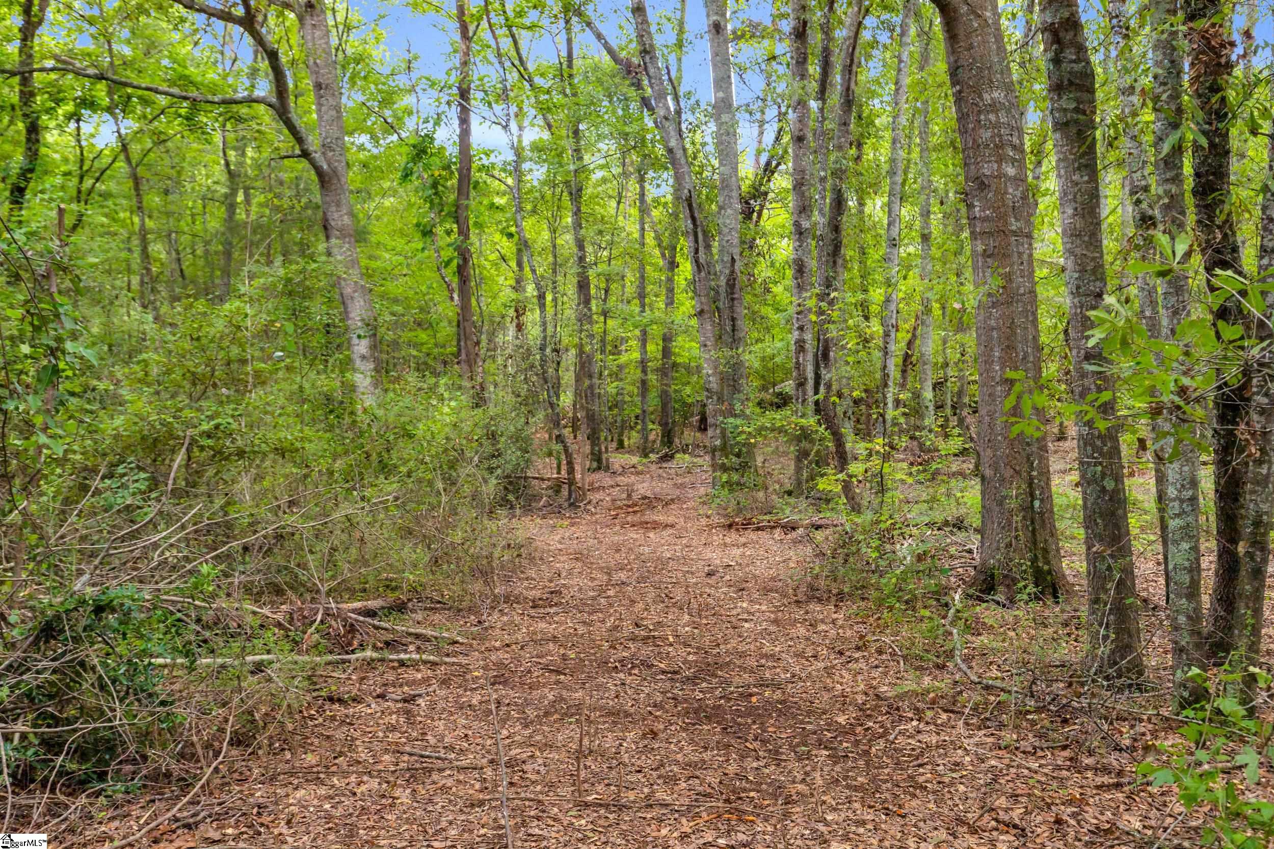 916 Old Saluda Dam Road Easley, SC 29640 - Photo 3 of 12 Gallery Image 3