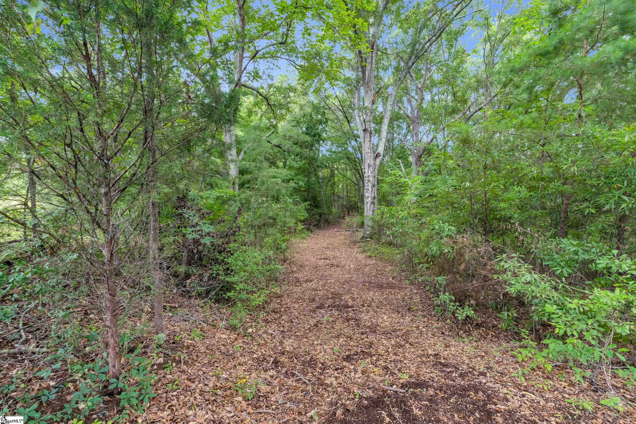916 Old Saluda Dam Road Easley, SC 29640 - Photo 9 of 12 Gallery Image 9
