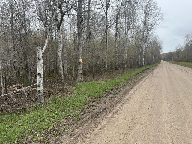 0 Wallen Road Thompsonville, MI 49683 - Photo 13 of 16 1947190-dd8e46d6-5ecf-4505-baf0-22a4456e6622.JPG