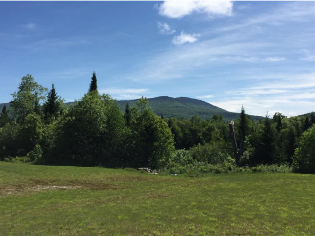 4055 Bog Road Belvidere, VT 05442 - Photo 12 of 12