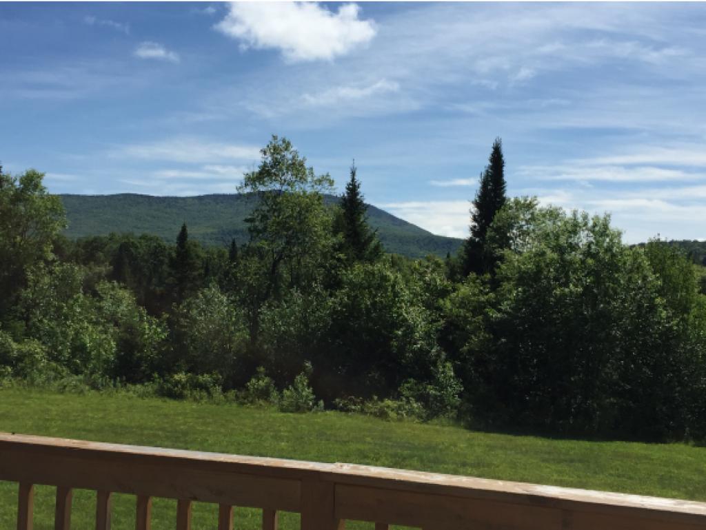 4055 Bog Road Belvidere, VT 05442 - Photo 3 of 12