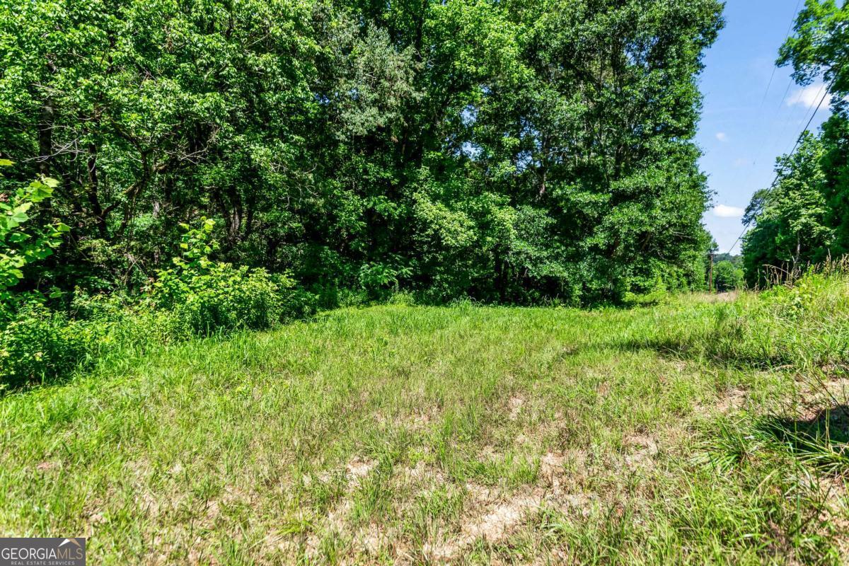 773 Fairview Road Jasper, GA 30143 - Photo 28 of 73