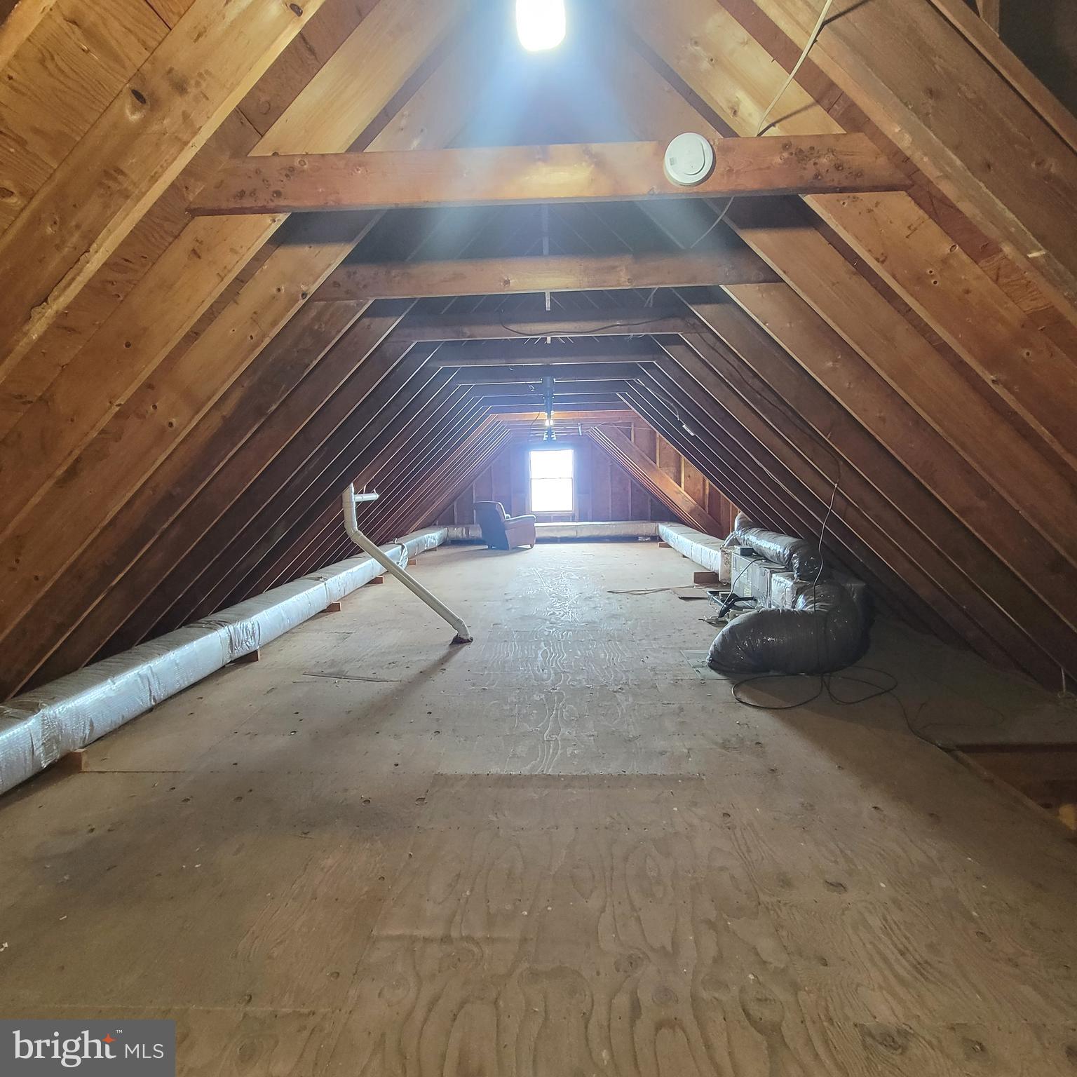4715 Oak Road Shady Side, MD 20764 - Photo 54 of 67 Attic view for future finished space!