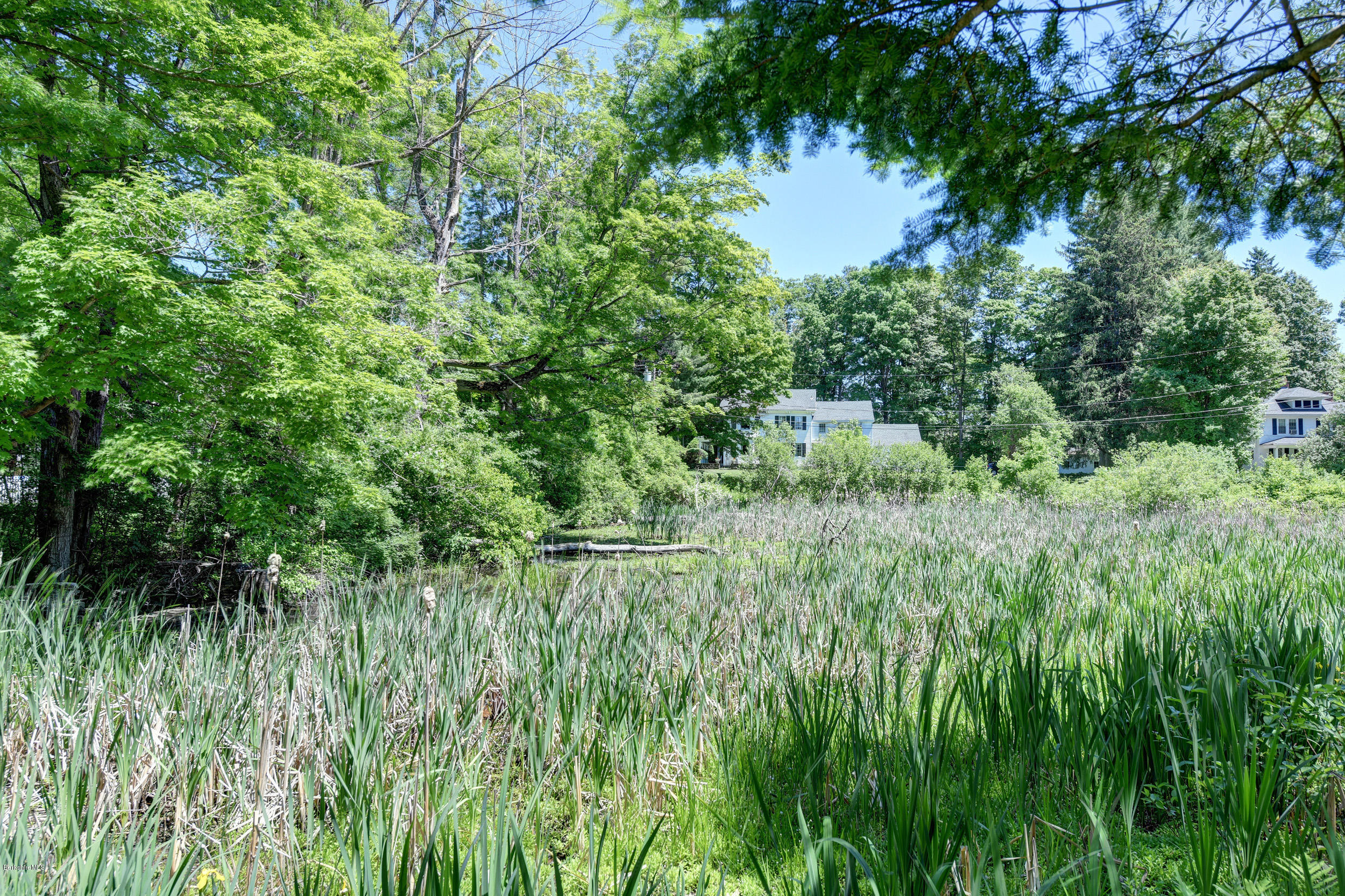 17 South Mountain Road Pittsfield, MA 01201 - Photo 4 of 57 942 Marsh