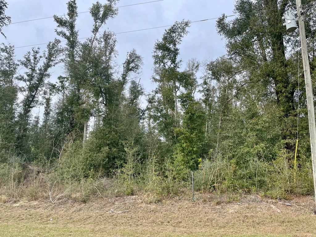 0 Our Town Road Wewahitchka, FL 32465 - Photo 3 of 6