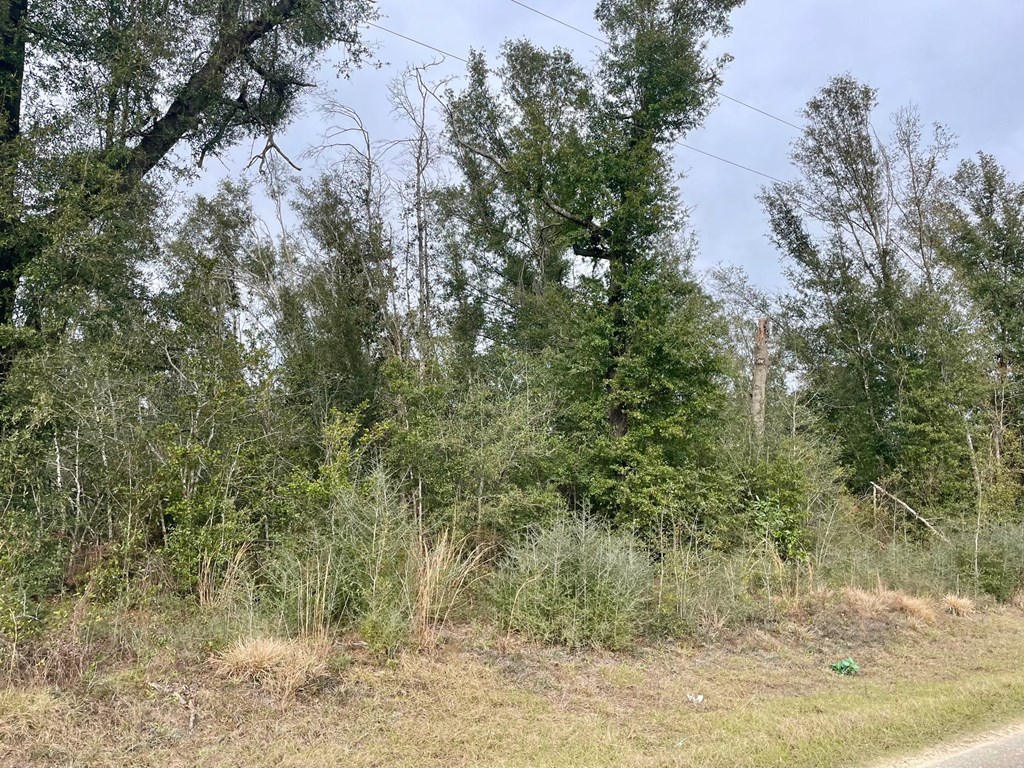 0 Our Town Road Wewahitchka, FL 32465 - Photo 4 of 6