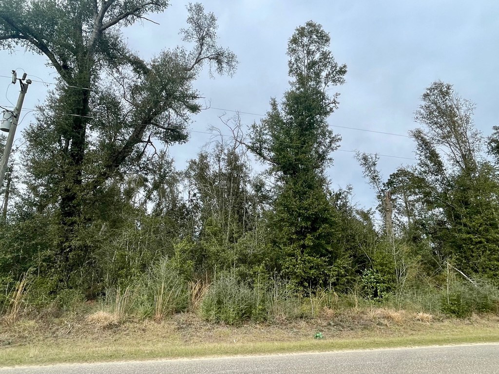 0 Our Town Road Wewahitchka, FL 32465 - Photo 5 of 6