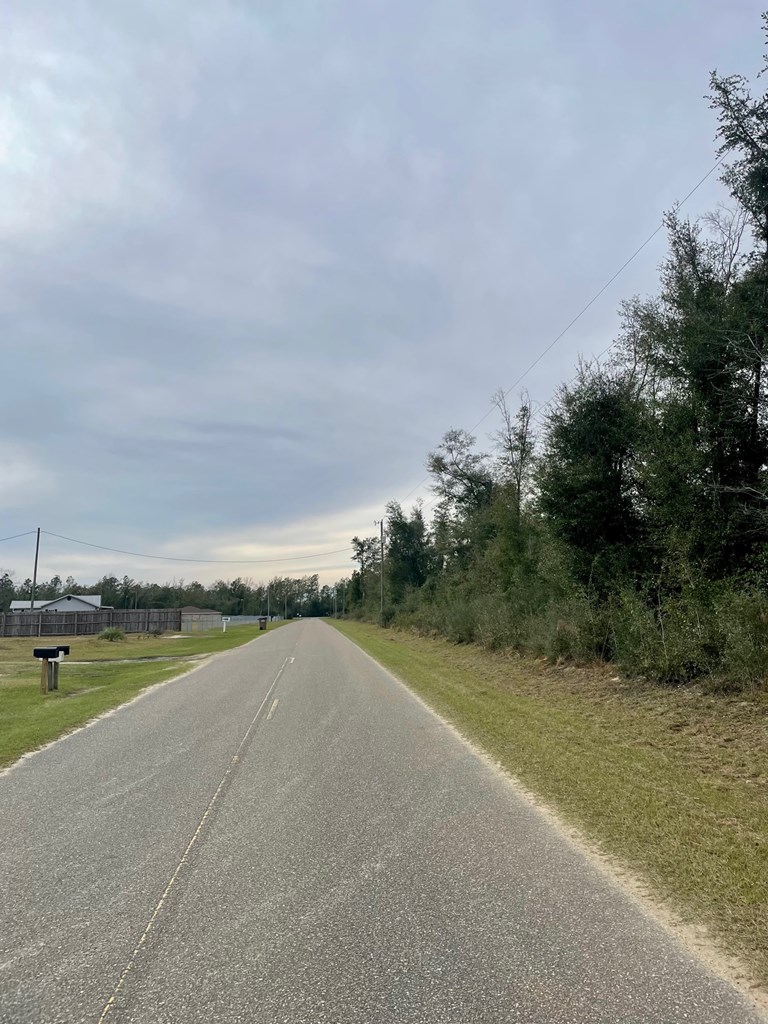 0 Our Town Road Wewahitchka, FL 32465 - Photo 6 of 6