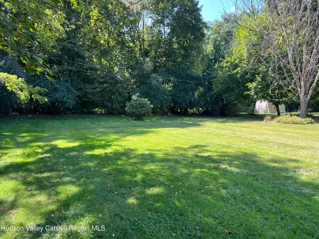 a view of a swimming pool and trees in the background