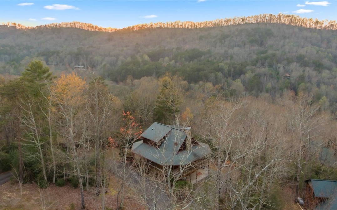 530 Weaver Creek Way Blue Ridge, GA 30513 - Photo 7 of 46 Additional View