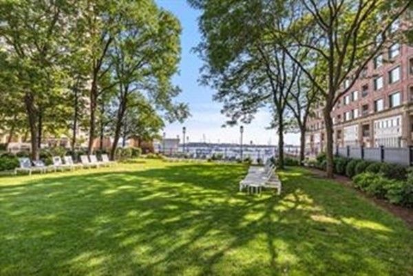 a view of a garden with large trees