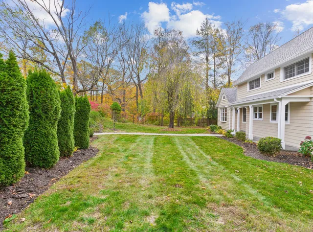 a view of a back yard