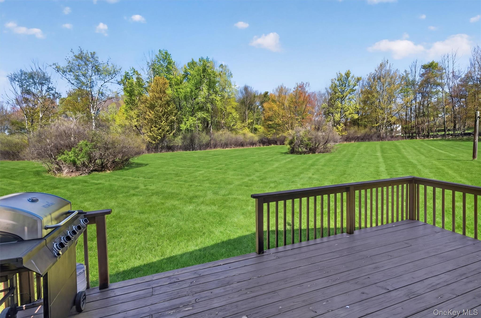 35 Yaun Road Livingston Manor, NY 12758 - Photo 33 of 38 a view of a deck and yard with green space