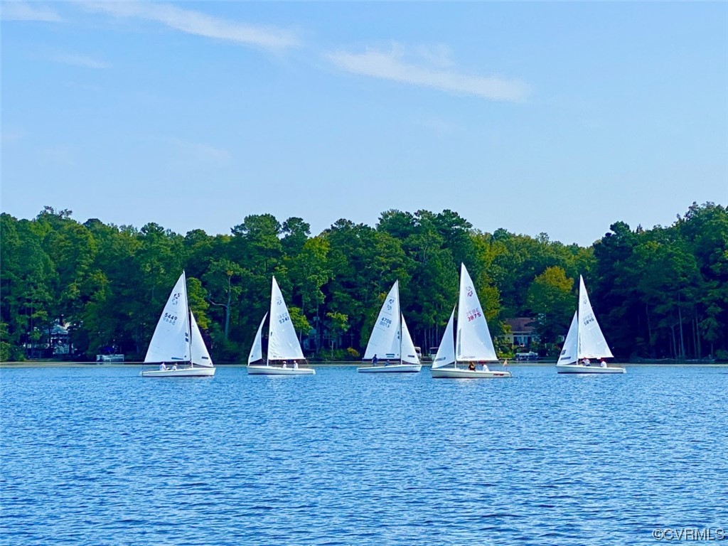 4206 Winterberry Court Midlothian, VA 23112 - Photo 50 of 50 a view of wooden and with trees