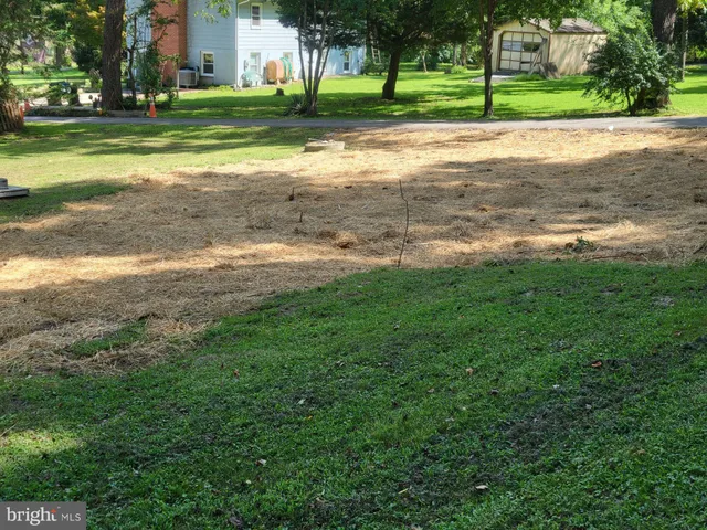 a view of a house with a big yard and a large trees