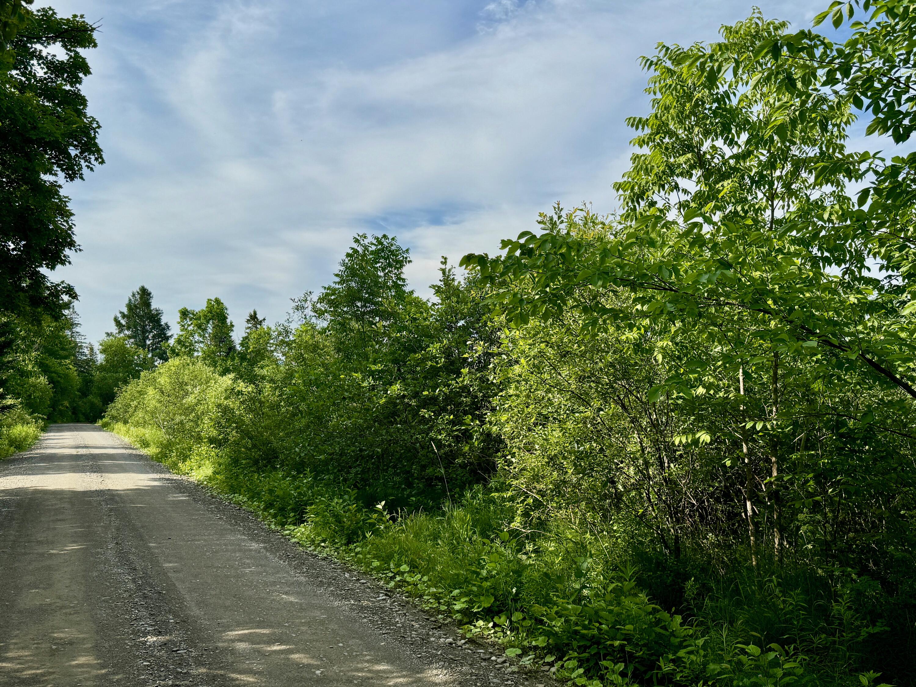 Lot #37 Hewitt Road Dover-Foxcroft, ME 04426 - Photo 13 of 13 IMG_9236