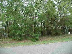 0 Southwest 192nd Court Road Dunnellon, FL 34432 - Photo 1 of 1 Primary Photo