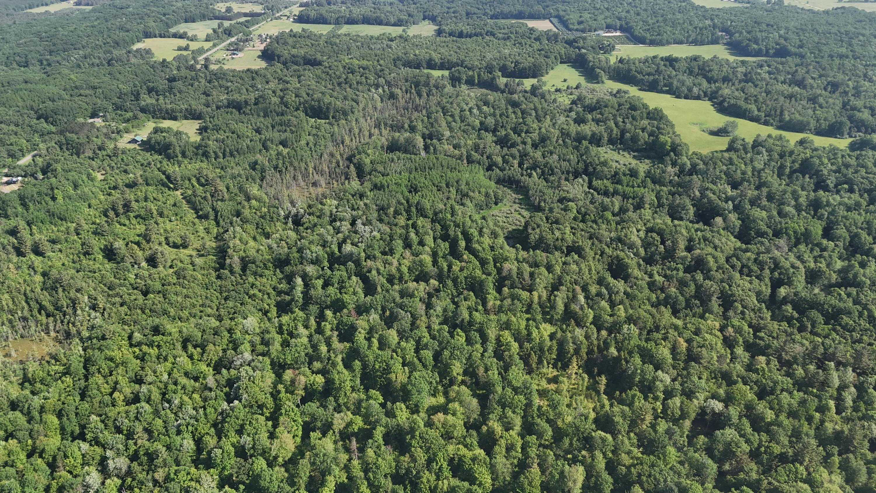 Dickson Road Brethren, MI 49619 - Photo 3 of 27 dji_fly_20250617_100836_0577_17501698455