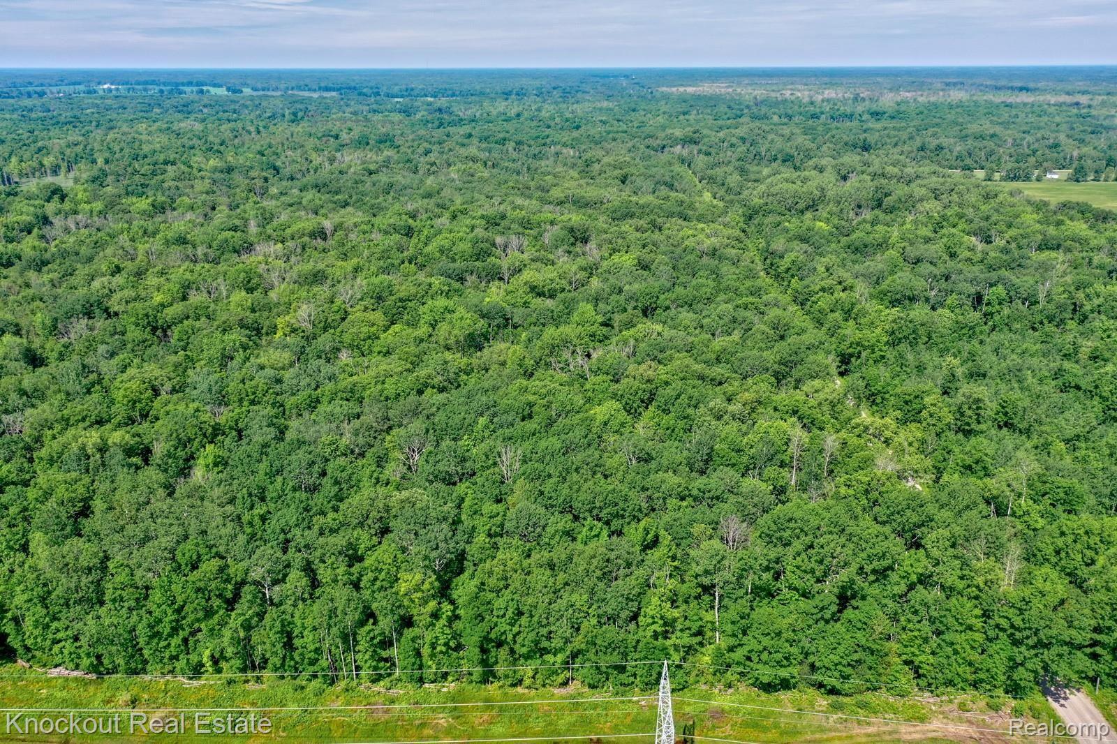 1000 West Kitchen Road Rhodes, MI 48652 - Photo 9 of 34 Kitchen Lots Bay County-6.jpg