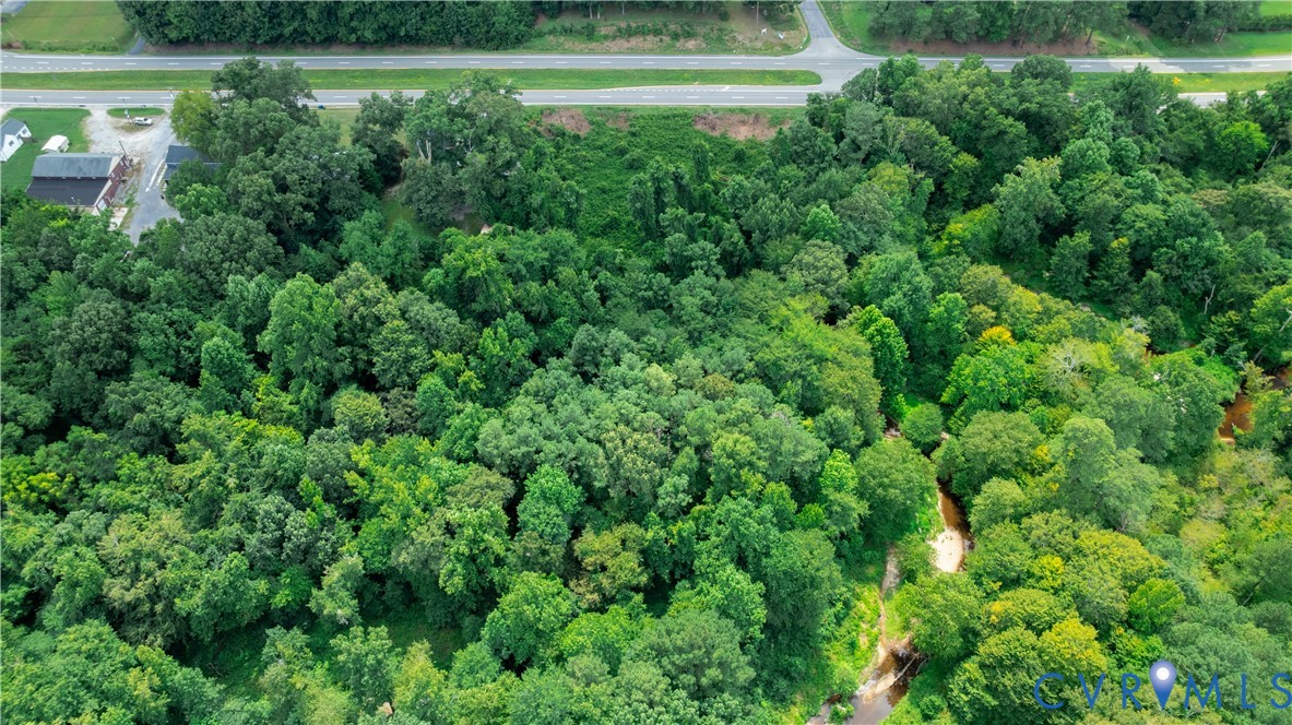 2106 East Hundred Road Chester, VA 23836 - Photo 14 of 14 a view of a lush green forest with lots of trees
