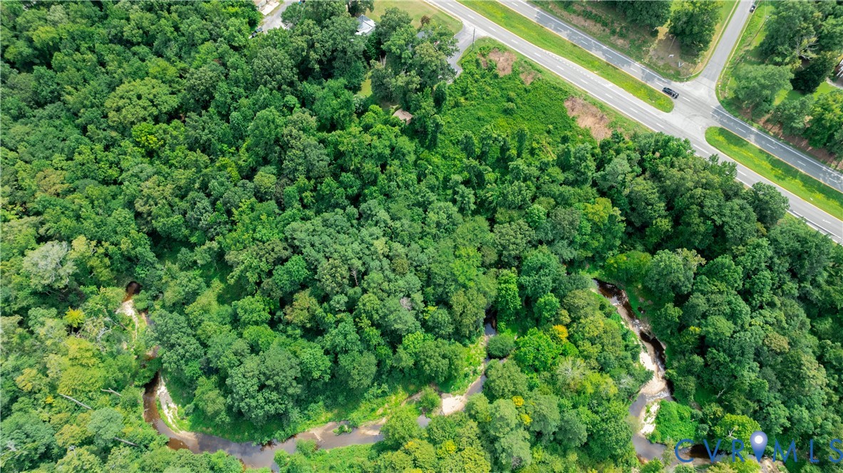 2106 East Hundred Road Chester, VA 23836 - Photo 9 of 14 a view of a lush green forest with lawn chairs