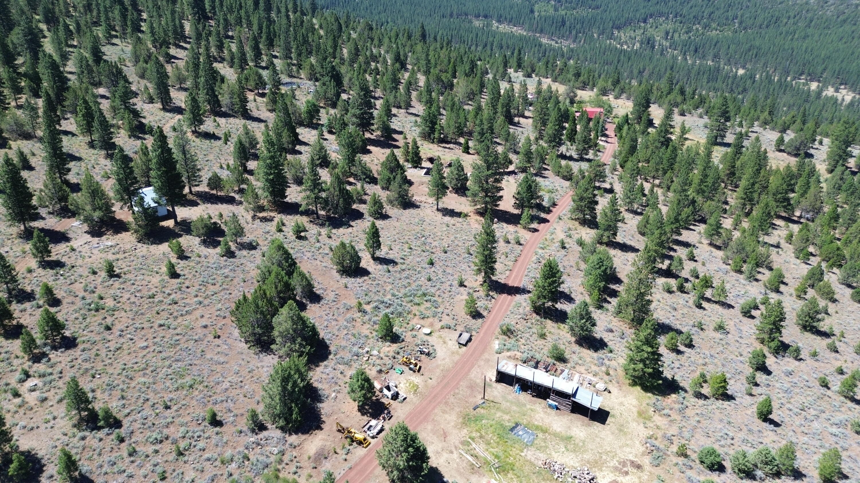 542-405 Punkin Center Road Bieber, CA 96009 - Photo 57 of 127 FOREST (3)