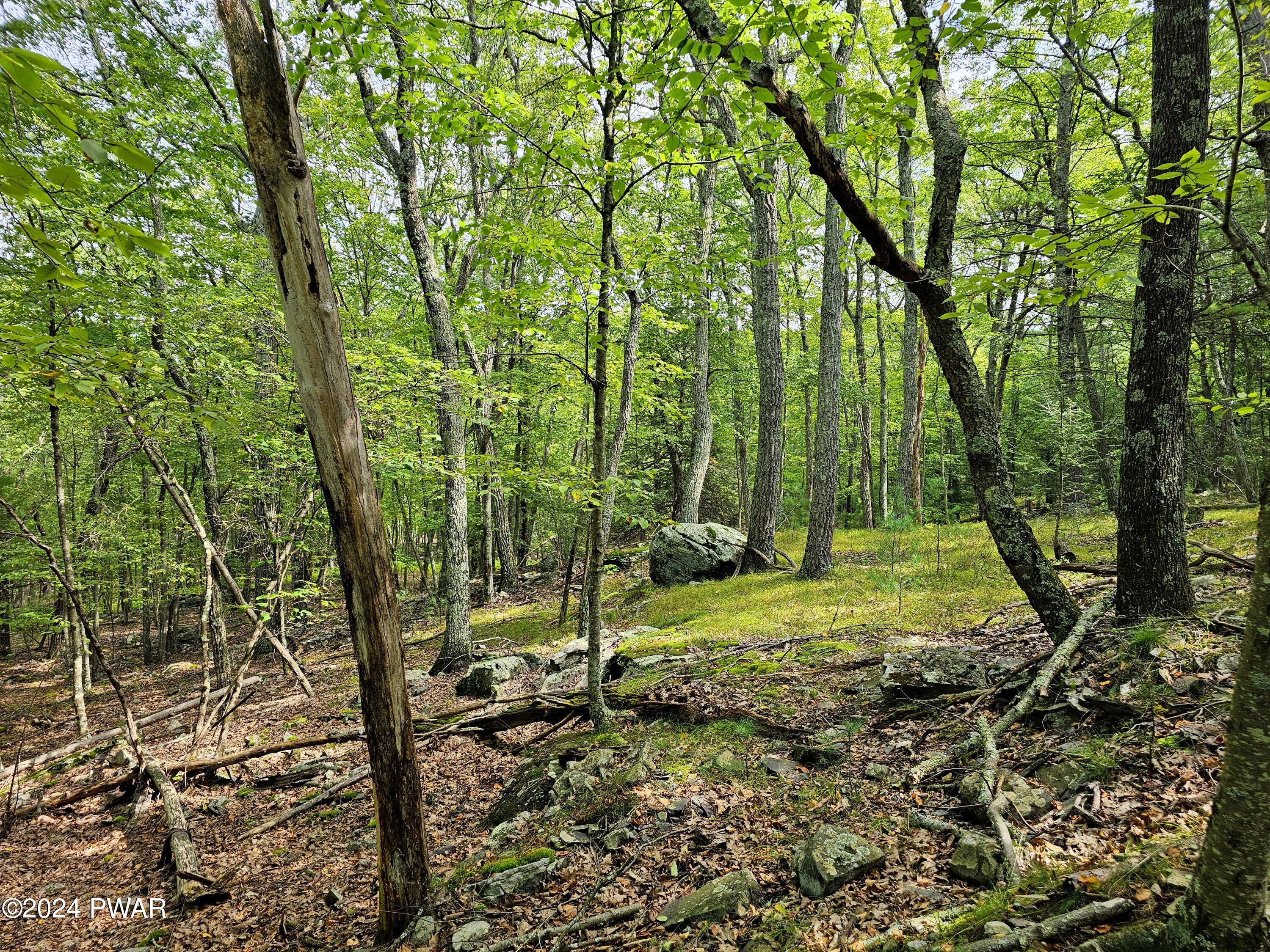 16-32 Oneida Road Shohola, PA 18458 - Photo 4 of 7