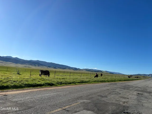 a view of a lake from a yard