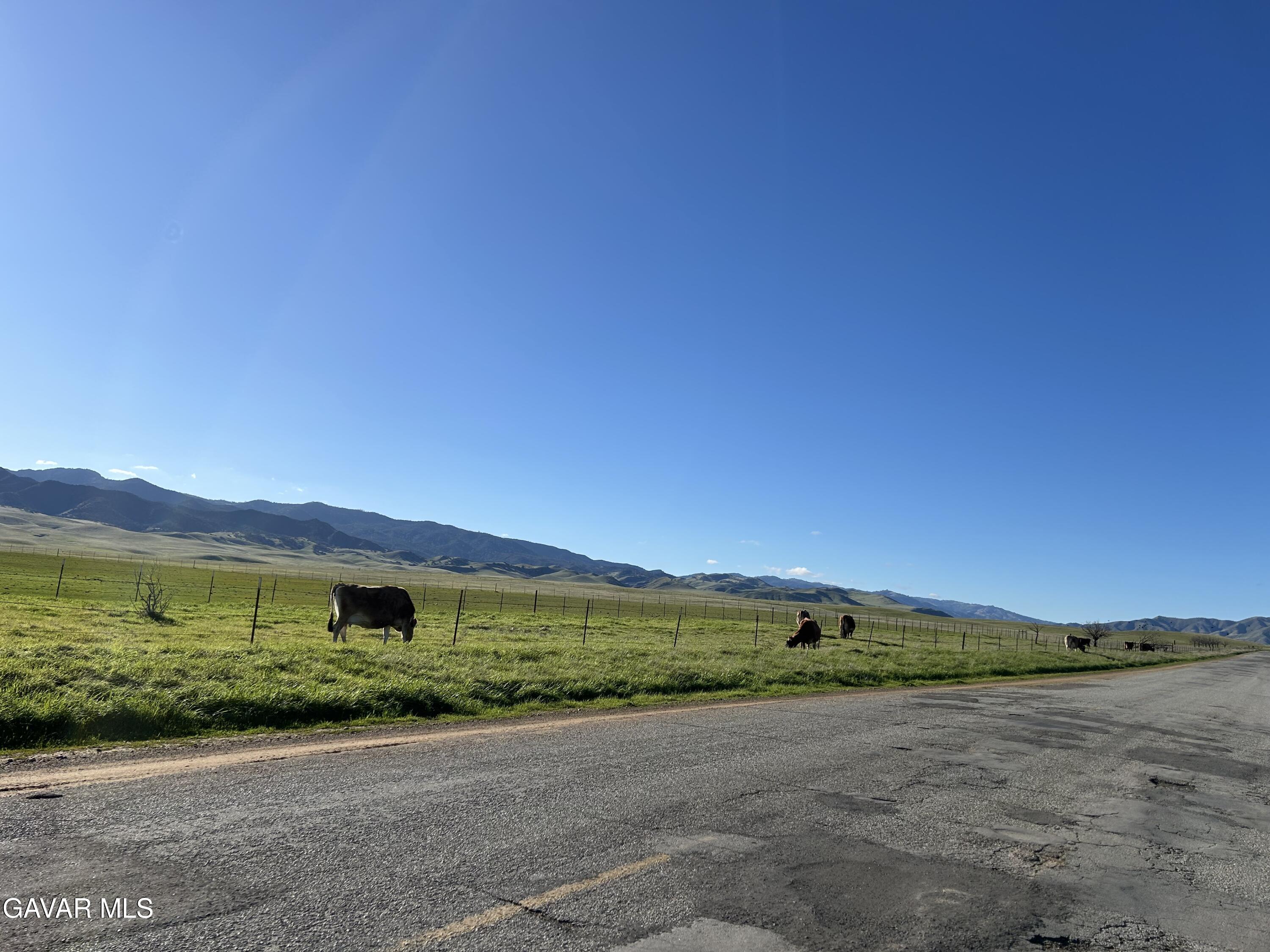 Viv Panoche Road Paicines, CA 95043 - Photo 14 of 35 image0 (6)